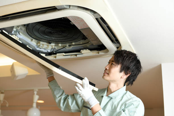Best HVAC System Cleaning  in Willard, OH