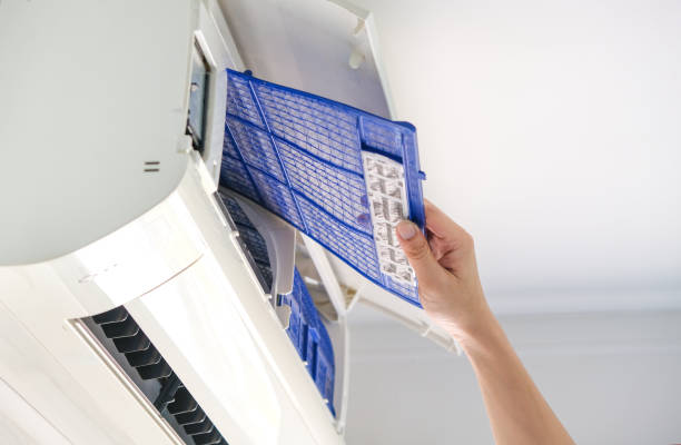 Best Dryer Vent Cleaning Services  in Willard, OH
