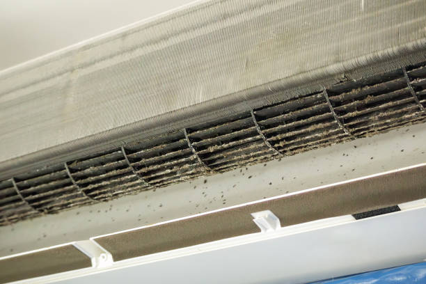 Best HVAC Air Duct Cleaning  in Willard, OH