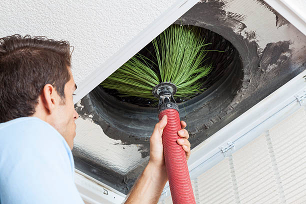 Best Air Duct Cleaning Near Me  in Willard, OH