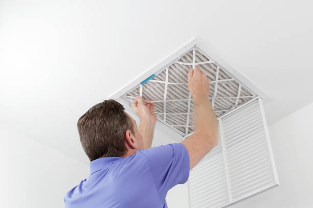 Best Air Duct Sanitizing Services  in Willard, OH